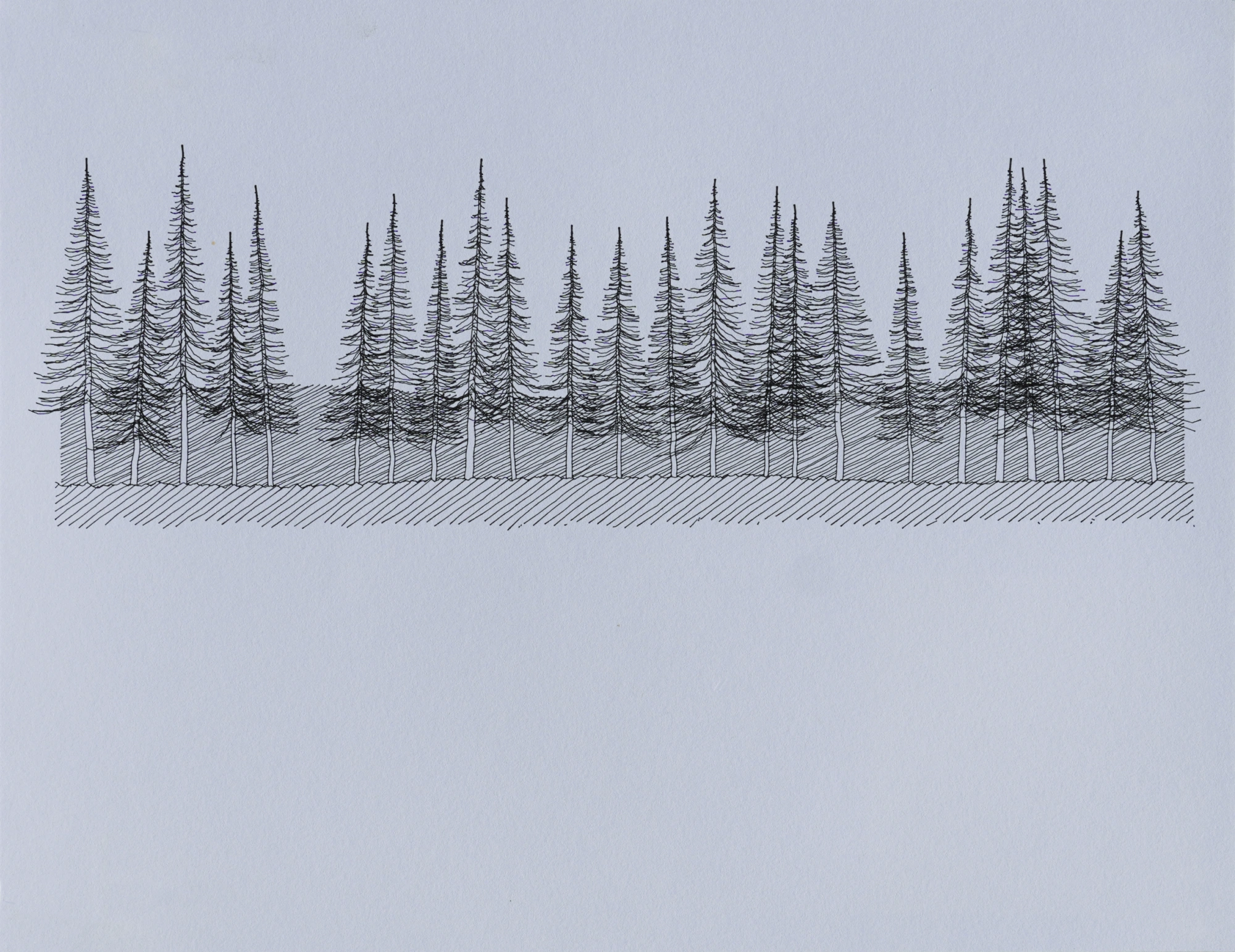 Plotter drawing of a forest
