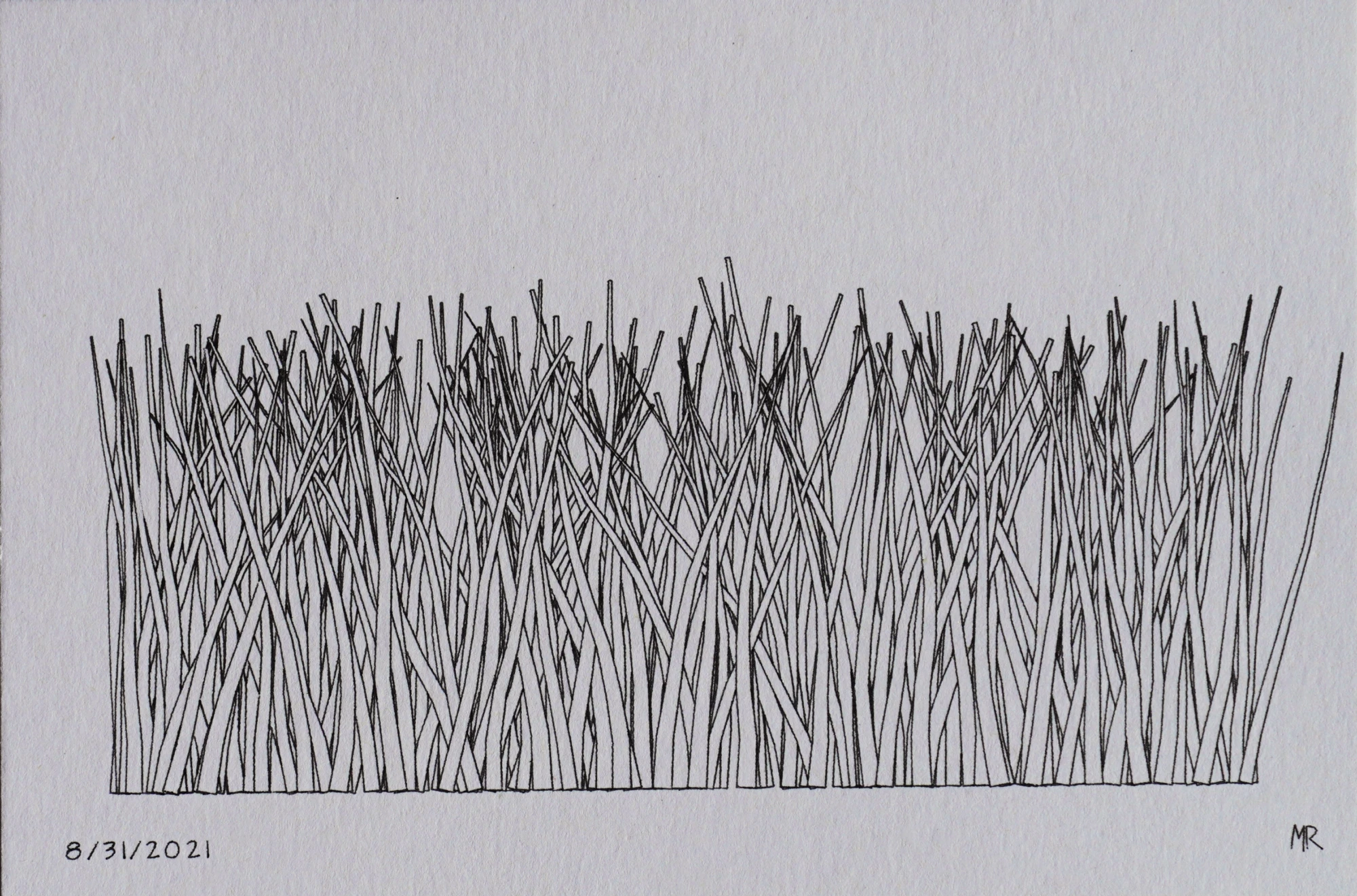 Plotter drawing of grass blades