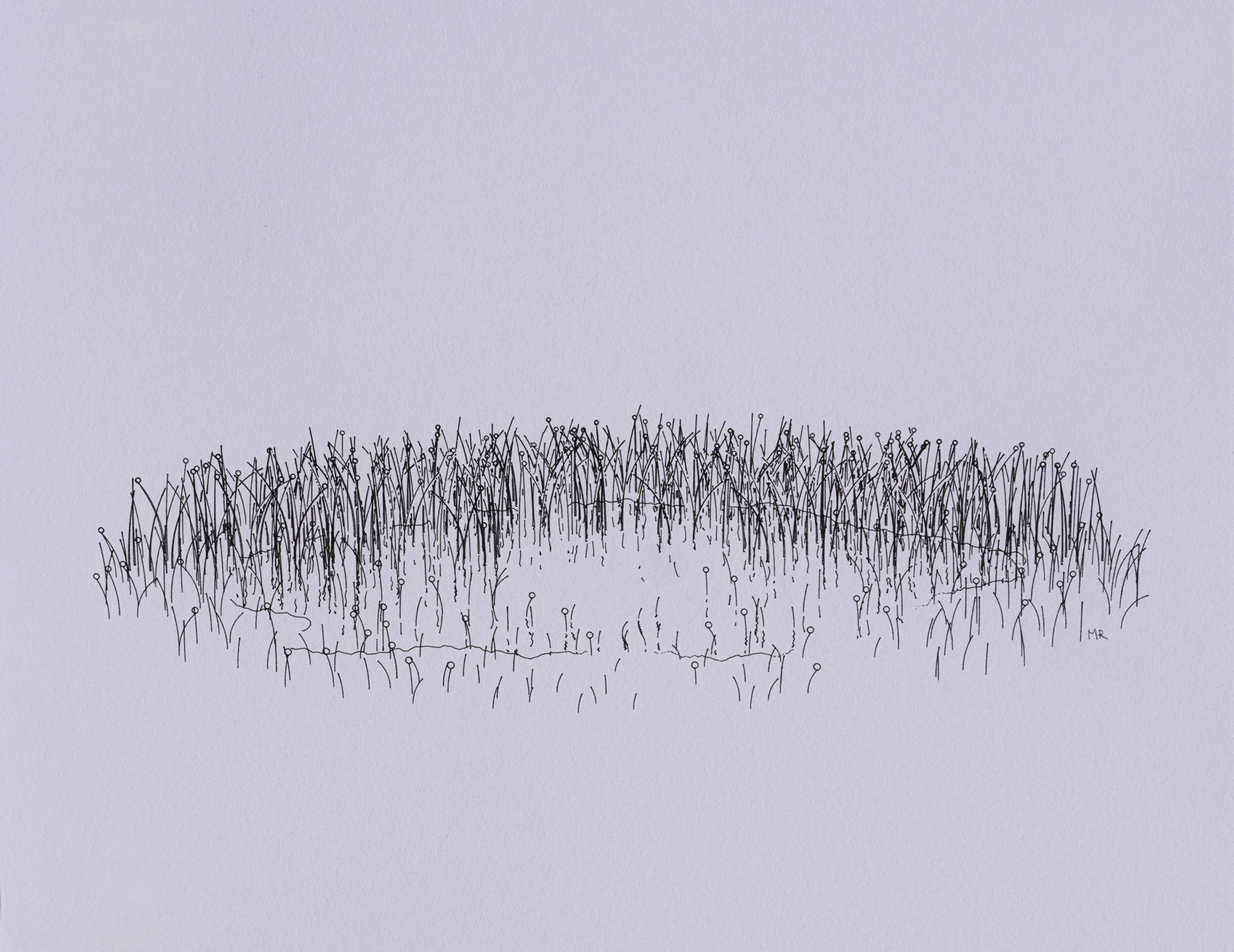 Plotter drawing of a pond