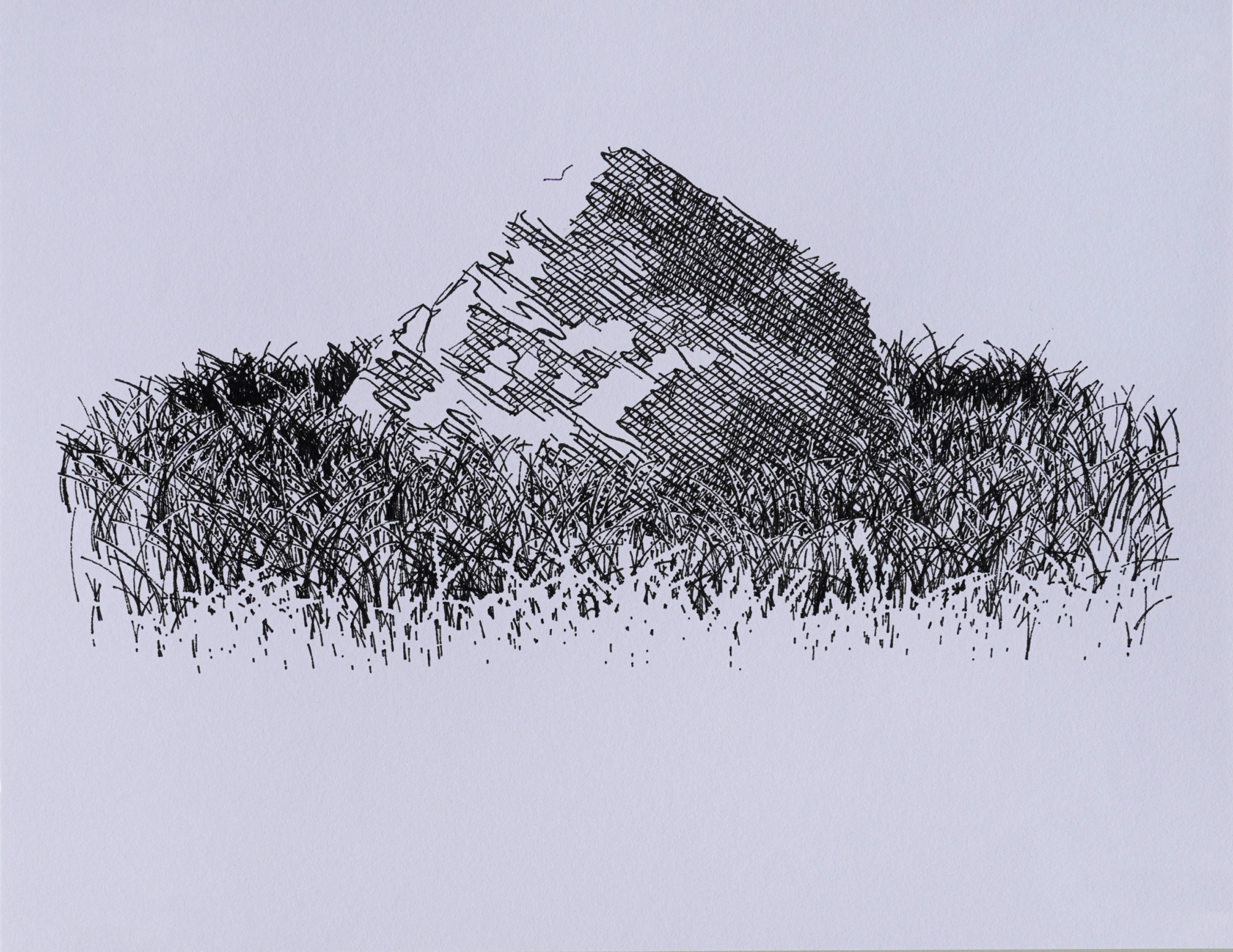 Plotter drawing of a rock surrounded by grass